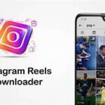 Igsty com Instagram downloader