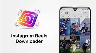 Igsty com Instagram downloader